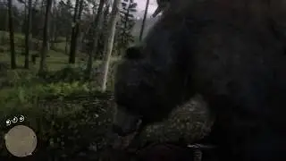 Red Dead Redemption 2 - Did that bear just eat Arthur's penis?