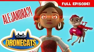 DRONECATS: ROBOTS & ANGRY WASPS, OH MY! 🤖😨🙀 | Superhero Cartoon | Mission 06