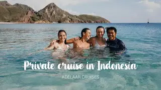 PRIVATE CRUISE in INDONESIA - Adelaar Cruises LIVEABOARD