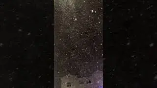 抖音53周度最佳视频 | video of the week 53 -_3 在想谁
