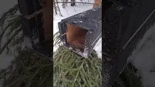 лвчий ящик для куниц