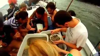 Trote Ecológico EcoFaxina 2012 | Praia Saco do Major, Guarujá