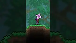 Terraria Polka