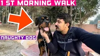 pehli baar J.Thor ko ghar se bhar leke gya | stick leke bhag gya