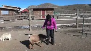 4 Eagle Ranch