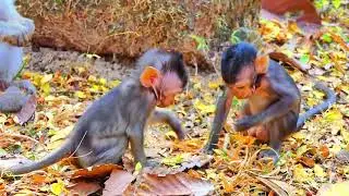 My Video 9