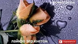 Хочи Мирзо Савдогар (Срочна) бинен.2020