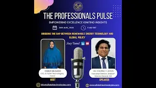 THE PROFESSIONALS PULSE-BRIDGING THE GAP BETWEEN RENEWABLE ENERGY TECHNOLOGY AND GLOBAL POLICY