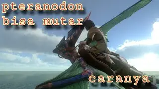 Tutorial pteranodon mutar mutar #arkmobile #arkmobile #shorts