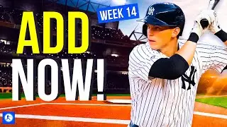 Hitters & Pitchers Fantasy Baseball Waiver Wire Pickups - Week 14 (2024)