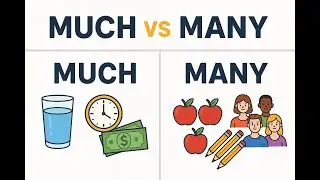 MUCH vs MANY | Easy English Grammar Lesson for Beginners (With Clear Examples!)