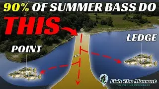 Big Bass Always Stack Up Here As The Water Gets Warmer – Don’t Miss This!