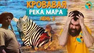 Масаи-Мара. Кения. День 3