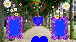 Wedding Green Screen Effect HD || Shaadi Green Screen Effects HD Video || Ab Green VFX