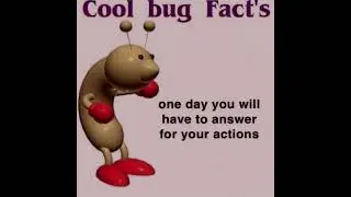 COOL BUG FACTS:CHRISTIAN EDITION