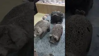 Сувениры из вулканического камня в Корее