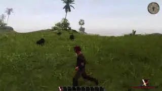 Risen 2