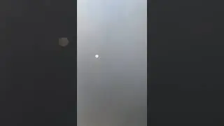 Гарда муар лиственница мокко царга