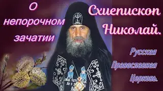 Схиепископ Николай. О непорочном зачатии.