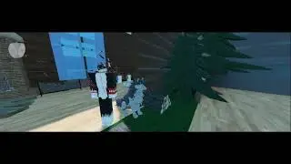 CJDSign & Co. Homestore and Game; WOLF room :D