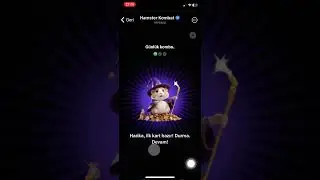 HamsterKombat 11 August 2024 Combo #hamsterkombatdailycombo