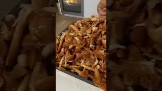 опята 