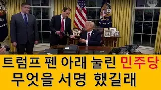 MS366 트럼프 펜 아래 납짝 업드린 민주당.