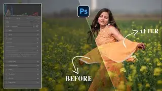 Orange Toon Effect in Camera Raw Filter : Free Preset 2023