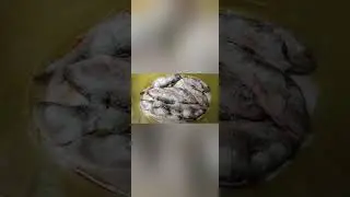 Как закоптить окуня.