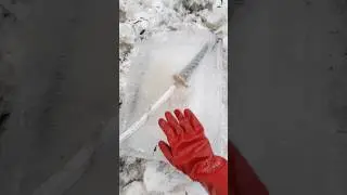 Samurai stuck in the ice