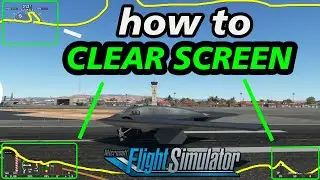 How to clear the screen in external view Microsoft Flight Simulator 2020