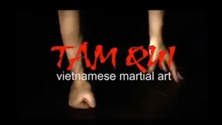 РАЗБИВАНИЕ КИРПИЧЕЙ! ТАМ КУИ КХИ-КОНГ. Мастер Thien Duyen.