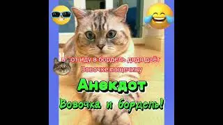 Анекдот про Вовочку и бордель. 