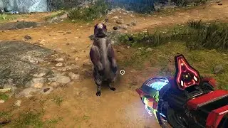 LOOK AT THIS CUTE HALO INFINITE ANIMAL!