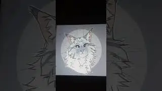 коты-воители # ,буран#, warrior cats #, whitestorm#