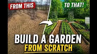 Build A Garden From Scratch | Start to Finish 