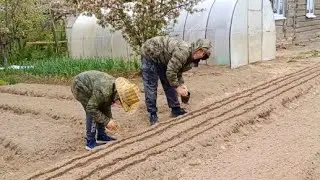 No matter what kind of spring it is, you still have to make beds. Dad chose a gift for himself
