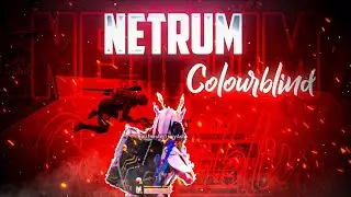NETRUM - COLOURBLIND PUBG MOBILE MONTAGE | POCO M2 PRO PUBG MOBILE MONTAGE