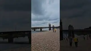 НАШИ Z