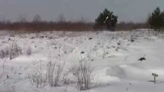 аэросани оса 2013