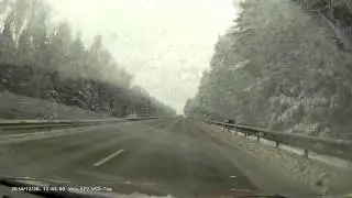 Олень на дороге!