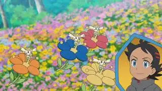 Pokemon Journeys Goh's 4 Flabebe Evolves Into Floette