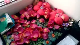 Наш домик на подоконнике 😀😀😀