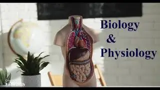 what is biomedical engineering, Biomedical engineering tutorials| learn every thing about biomedical