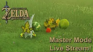 This Hunt is Fruitless. The Legend of Zelda: Breath of the Wild - Master Mode Live Stream #45