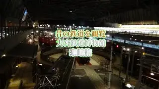 【ブルートレインや国鉄車両が勢揃い】鉄道博物館に行ってきました