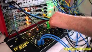 Metasonix D-2000, Tiptop Circadian Rhythms eurorack