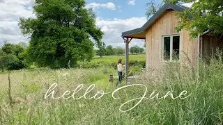Life in June in the French countryside