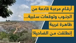 أرقام مرعبة قادمة من الجنوب وتوقعات سلبية... ظاهرة غريبة إنطلقت من الضاحية!