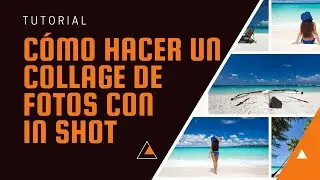 Cómo hacer un collage de fotos con in shot